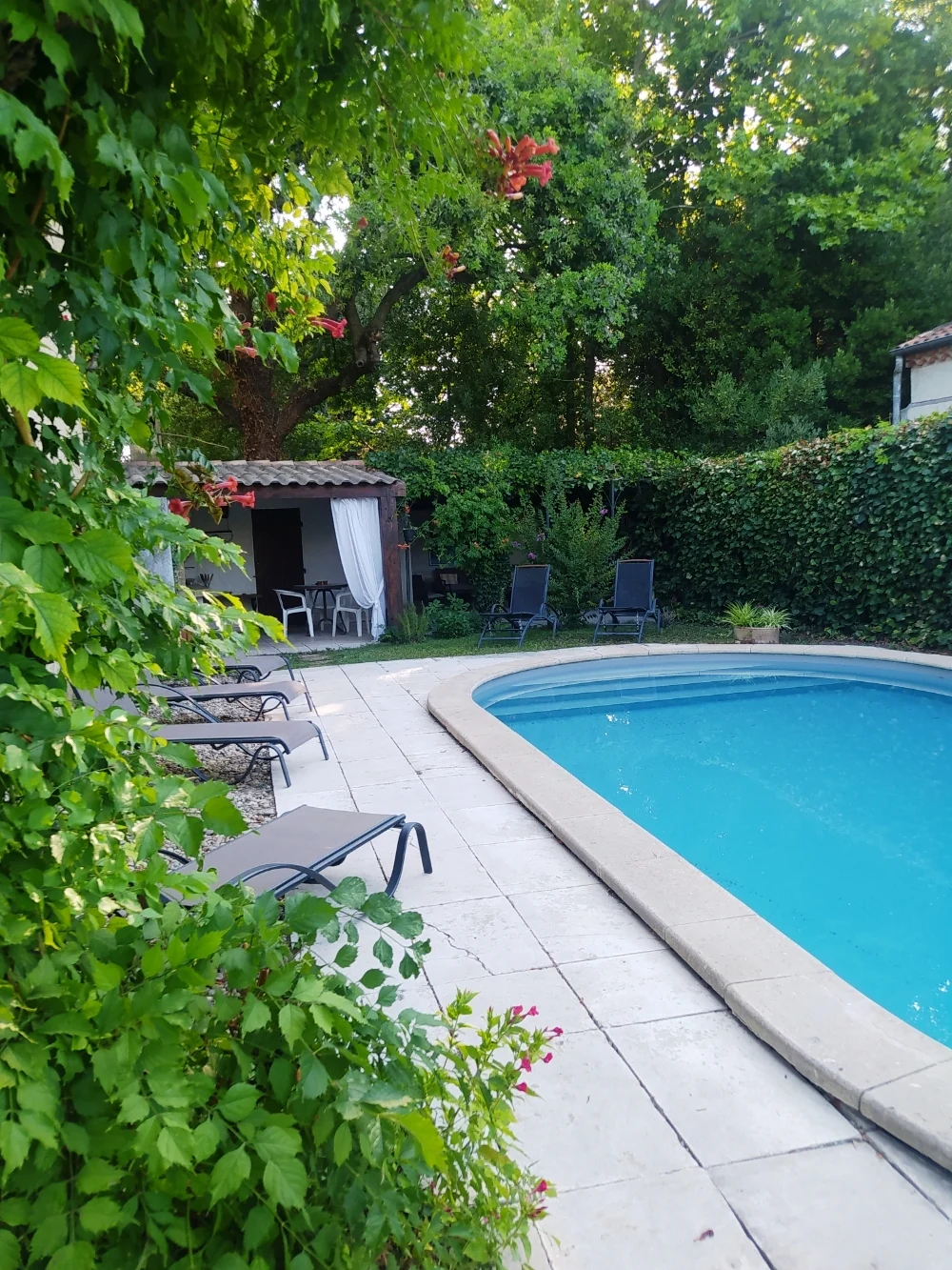La piscine entourée de verdure
