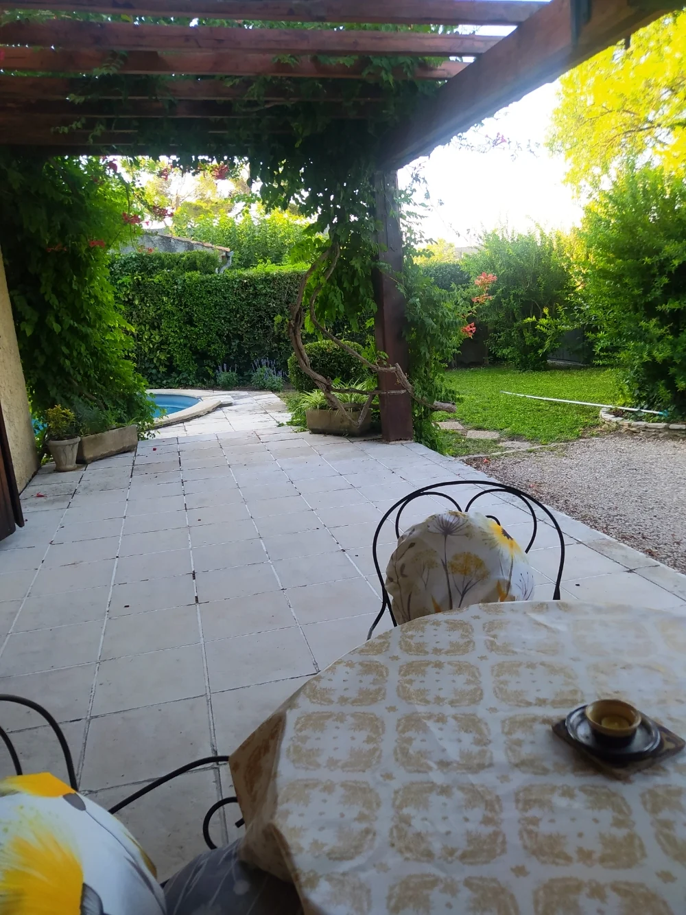 La terrasse couverte
