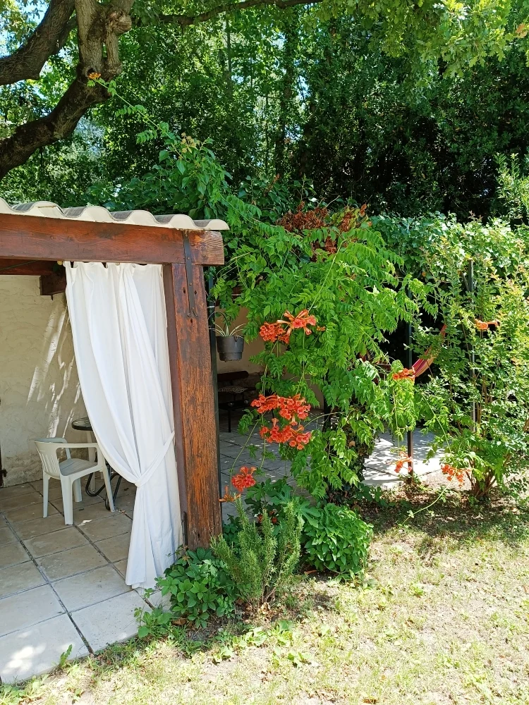 La tonnelle et le jardin