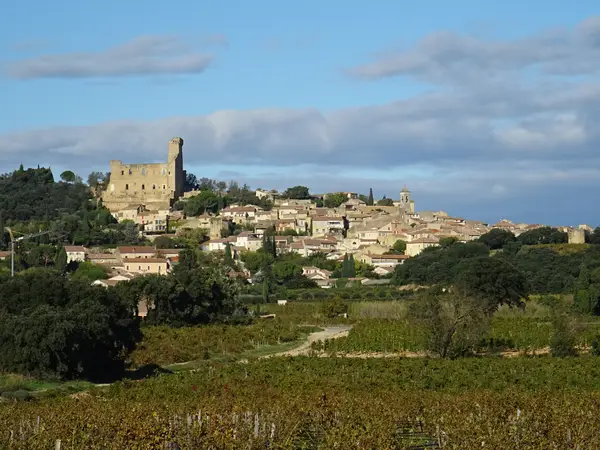 Châteauneuf-du-Pape et son château