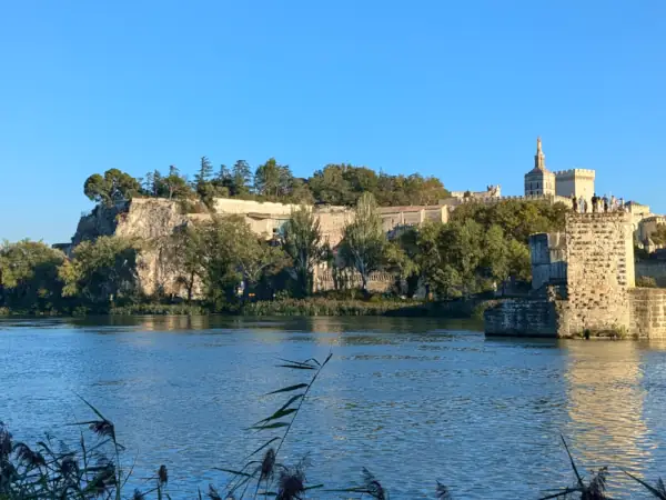 Avignon, le Palais des Papes et le pont Saint-Bénézet vus du Rhône