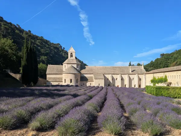 L’abbaye de Sénanque et ses lavandes